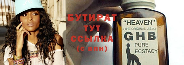 прущие грибы Инта