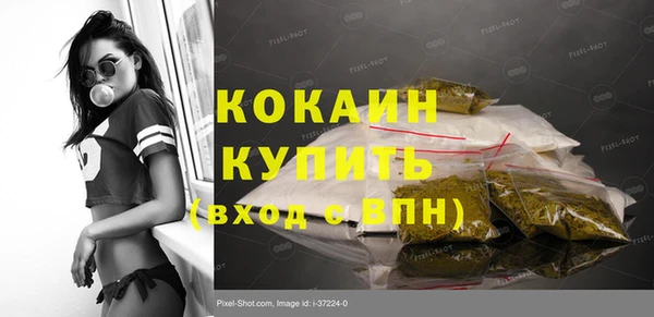 прущие грибы Инта