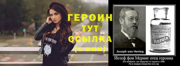 прущие грибы Инта