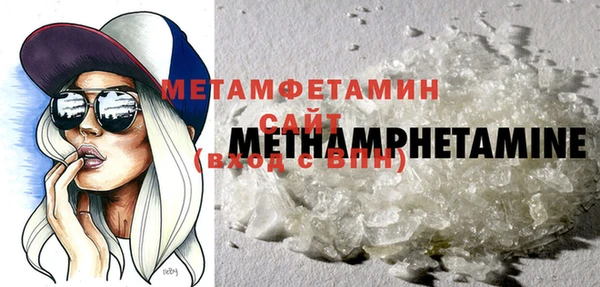 прущие грибы Инта