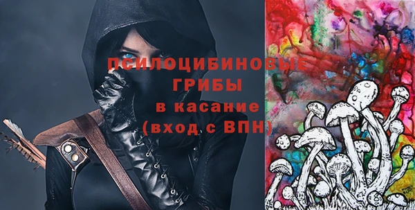 прущие грибы Инта