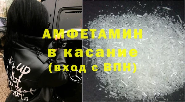 прущие грибы Инта