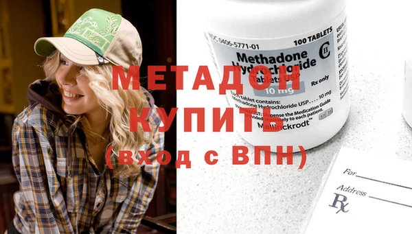 прущие грибы Инта