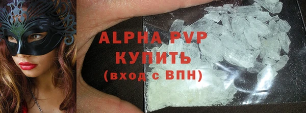 прущие грибы Инта