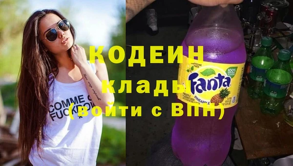 прущие грибы Инта
