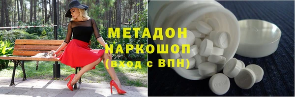 прущие грибы Инта