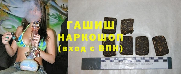 прущие грибы Инта