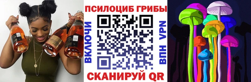 Купить  Задонск  Галлюциногенные грибы Magic Shrooms 